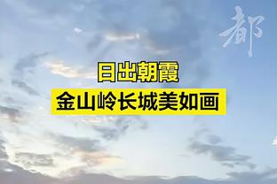 詹俊：德国队很难冲击欧洲杯冠军，主要原因是防守力度不够